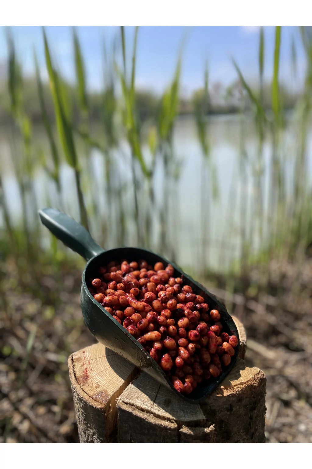 3 kg Csilis vegyes tigrismogyoró mix