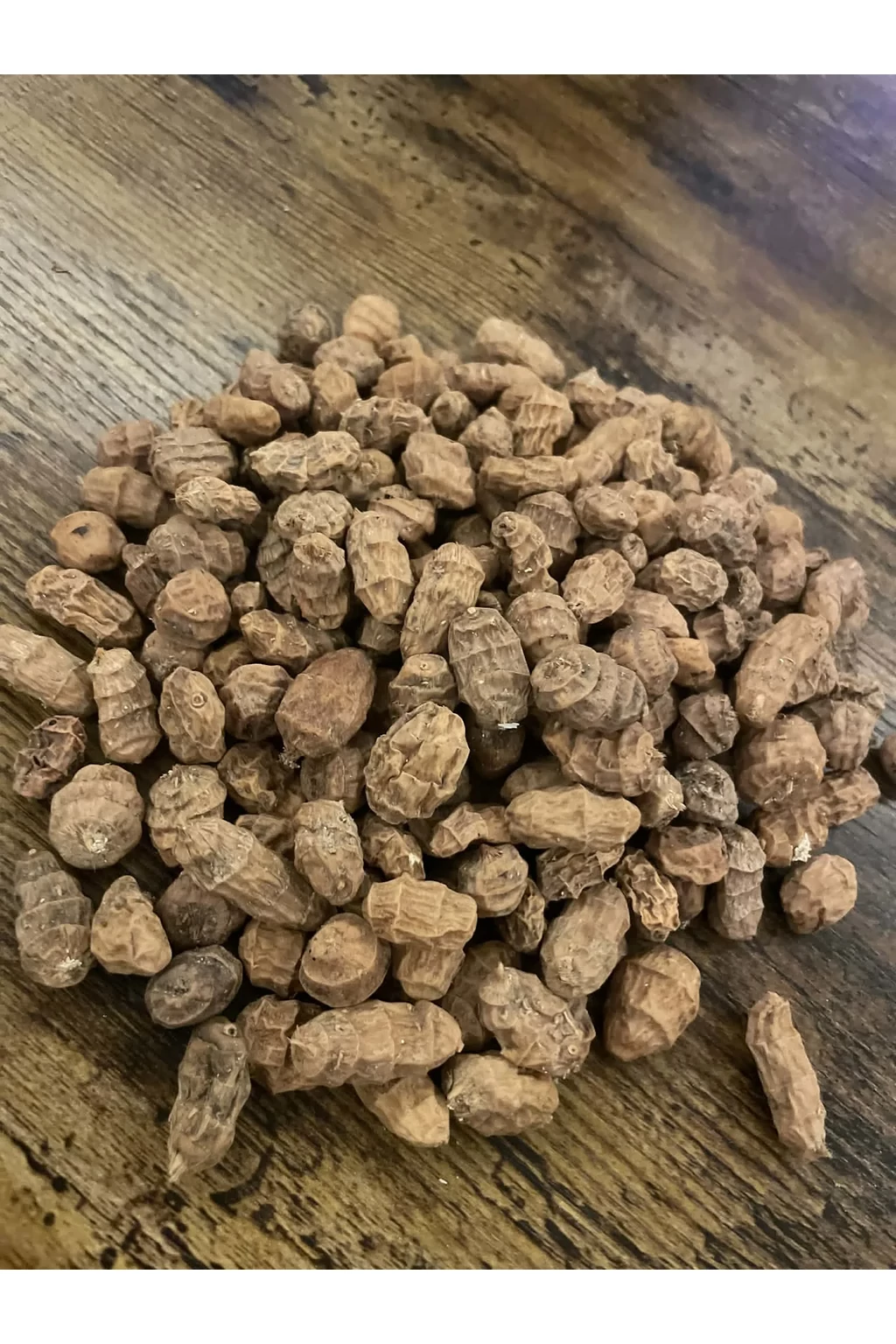 10 kg XXL Barna Száraz Tigrismogyoró