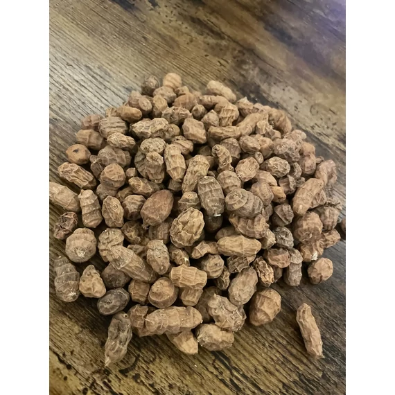 10 kg XXL Barna Száraz Tigrismogyoró